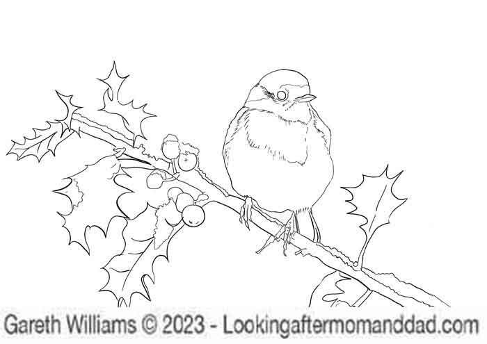 Robin Coloring Page 1