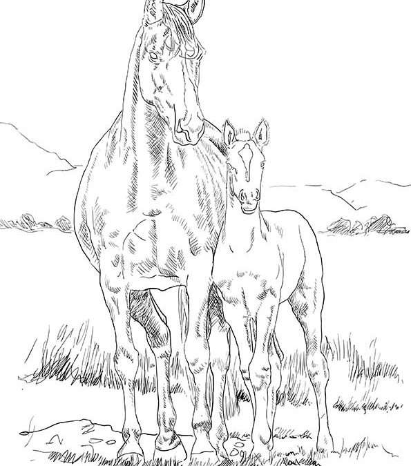 Mare and Foal Coloring Page 1